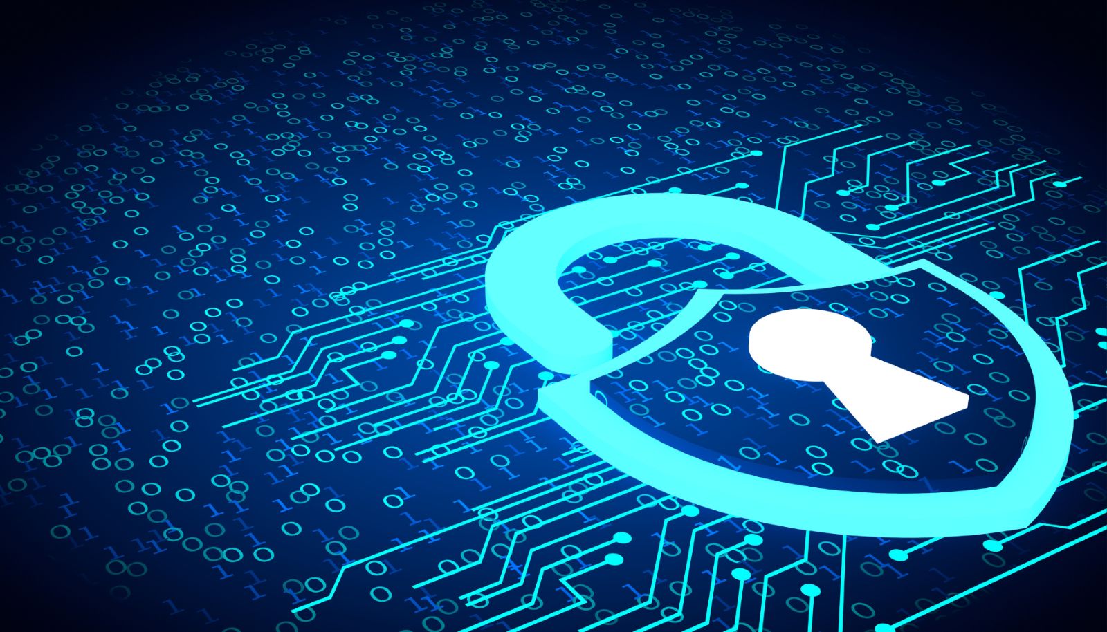 Secure Agentic AI: Harnessing LLMs While Protecting Data Privacy